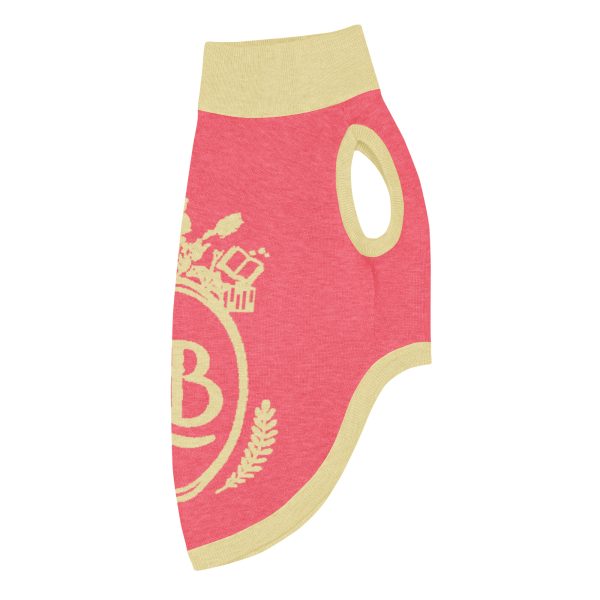 OLB Knit Pet Sweater in Rose