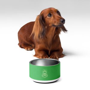 Exotic Crest Pet Bowl in Clover - Image 3