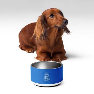 Exotic Crest Pet Bowl in Royal - Image 3