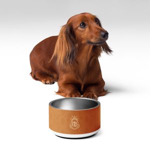 Exotic Crest Pet Bowl in Walnut - Image 3