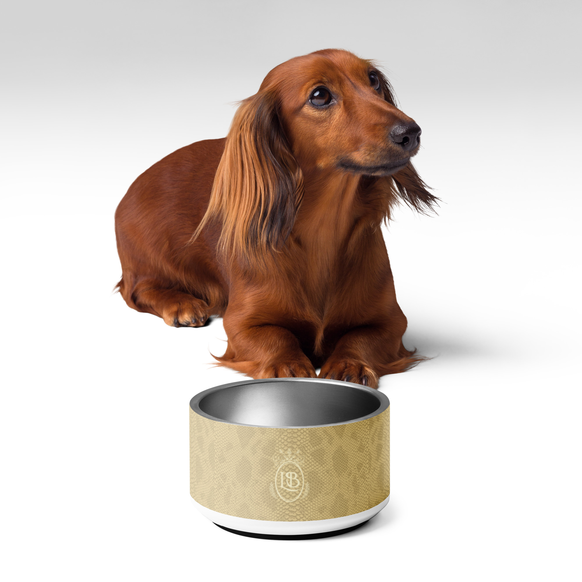 Exotic Crest Pet Bowl in Cashew - Image 3