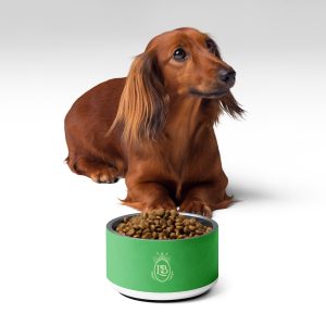 Exotic Crest Pet Bowl in Clover - Image 2