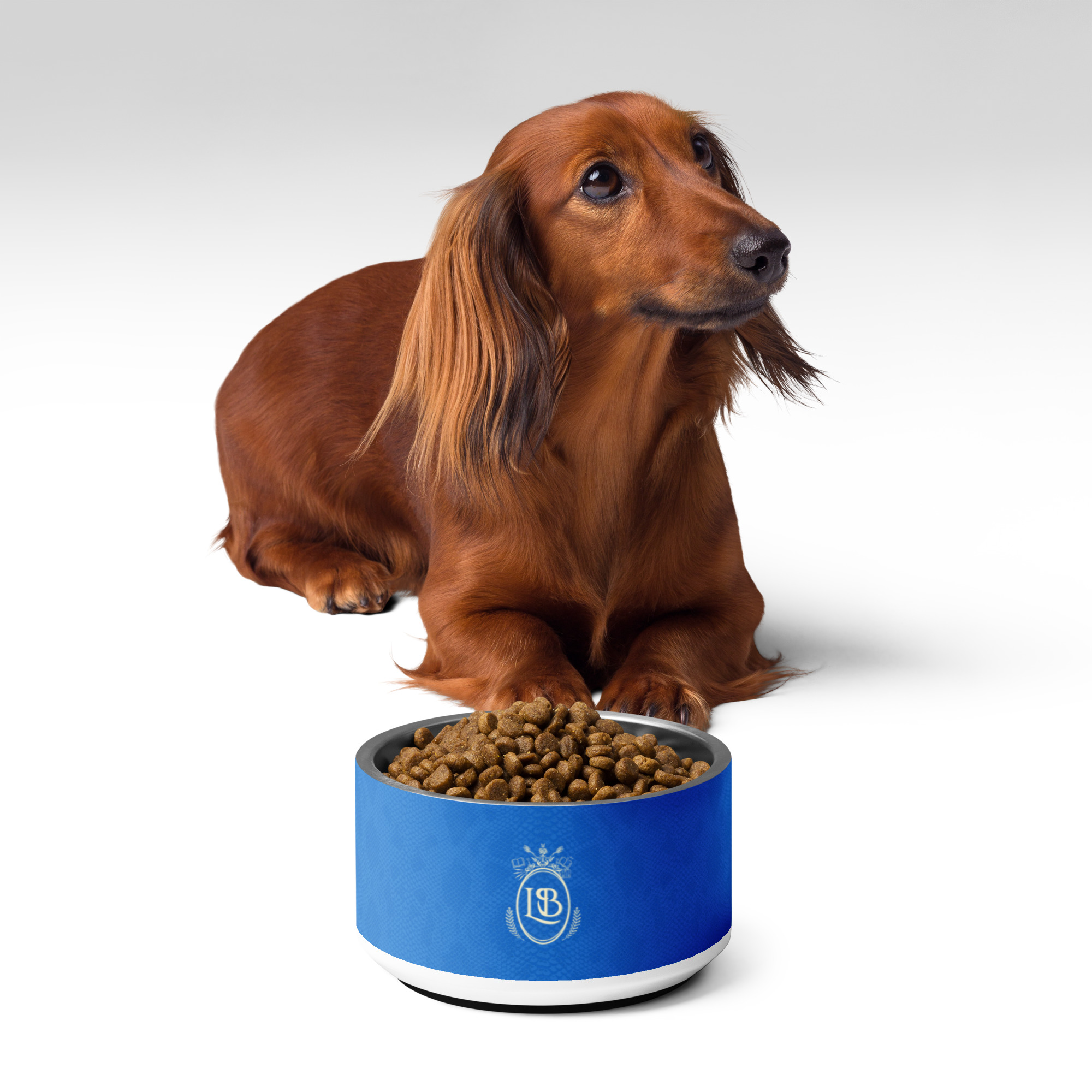 Exotic Crest Pet Bowl in Royal - Image 2