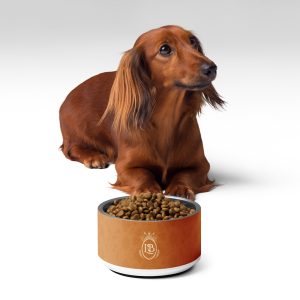 Exotic Crest Pet Bowl in Walnut - Image 2