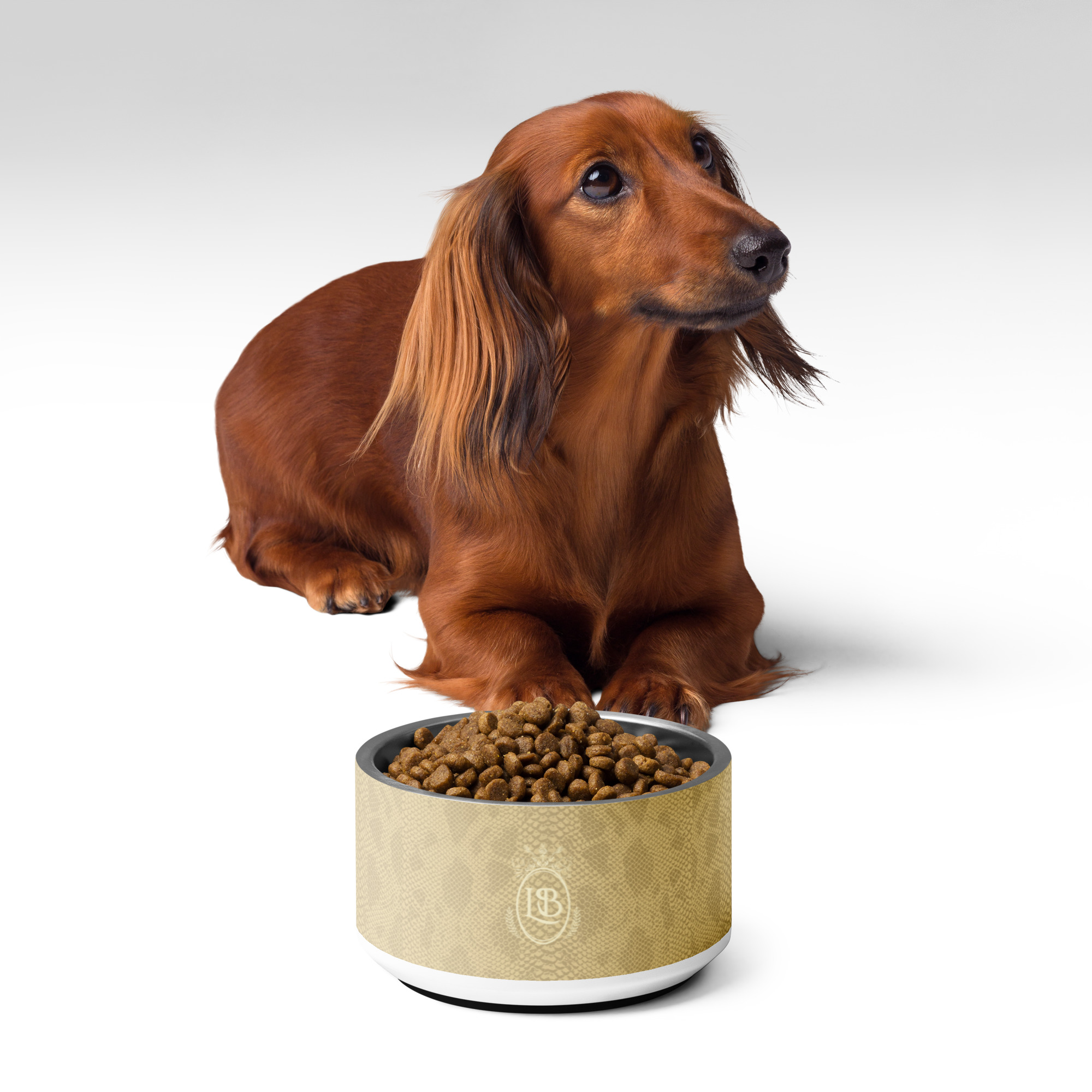 Exotic Crest Pet Bowl in Cashew - Image 2