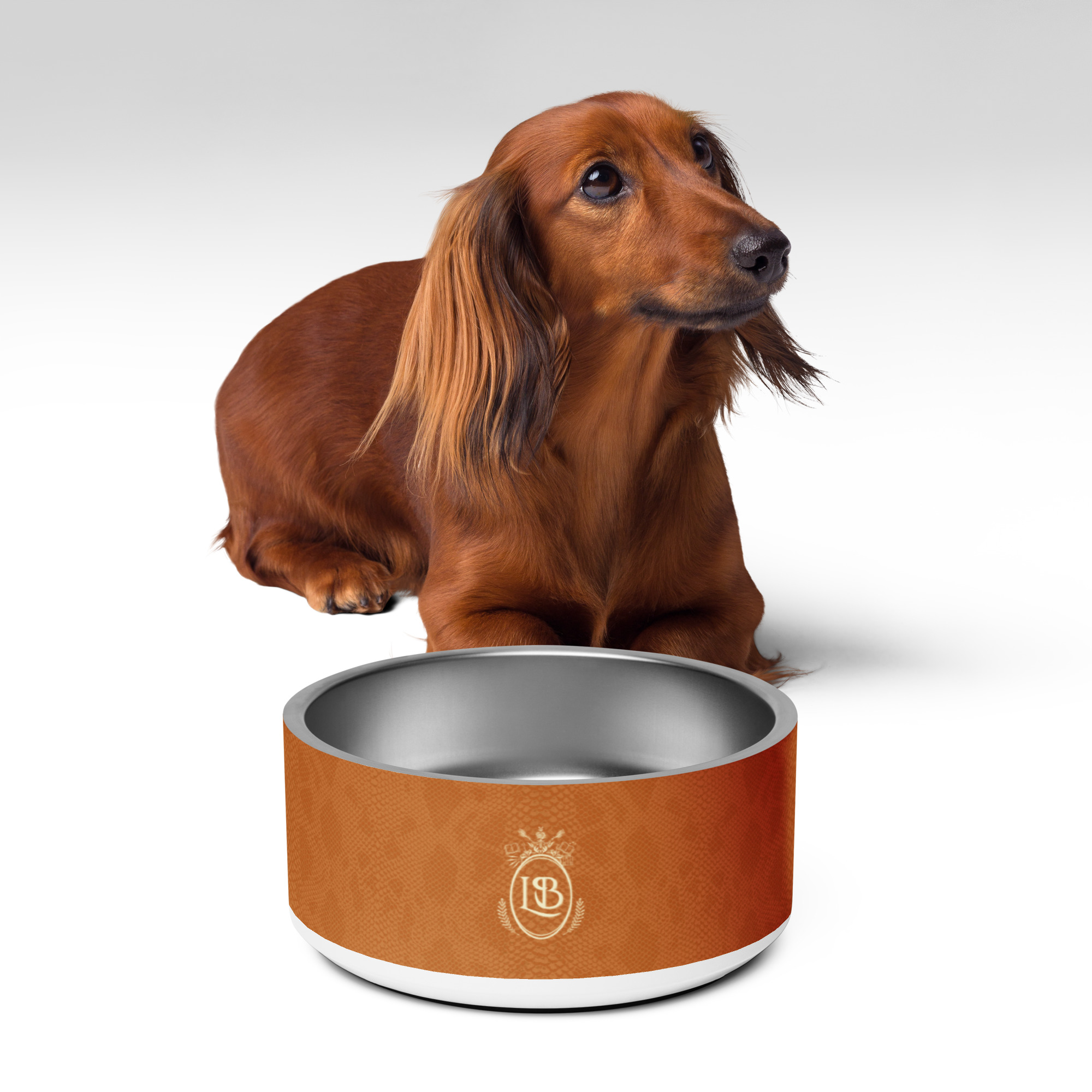 Exotic Crest Pet Bowl in Walnut - Image 4
