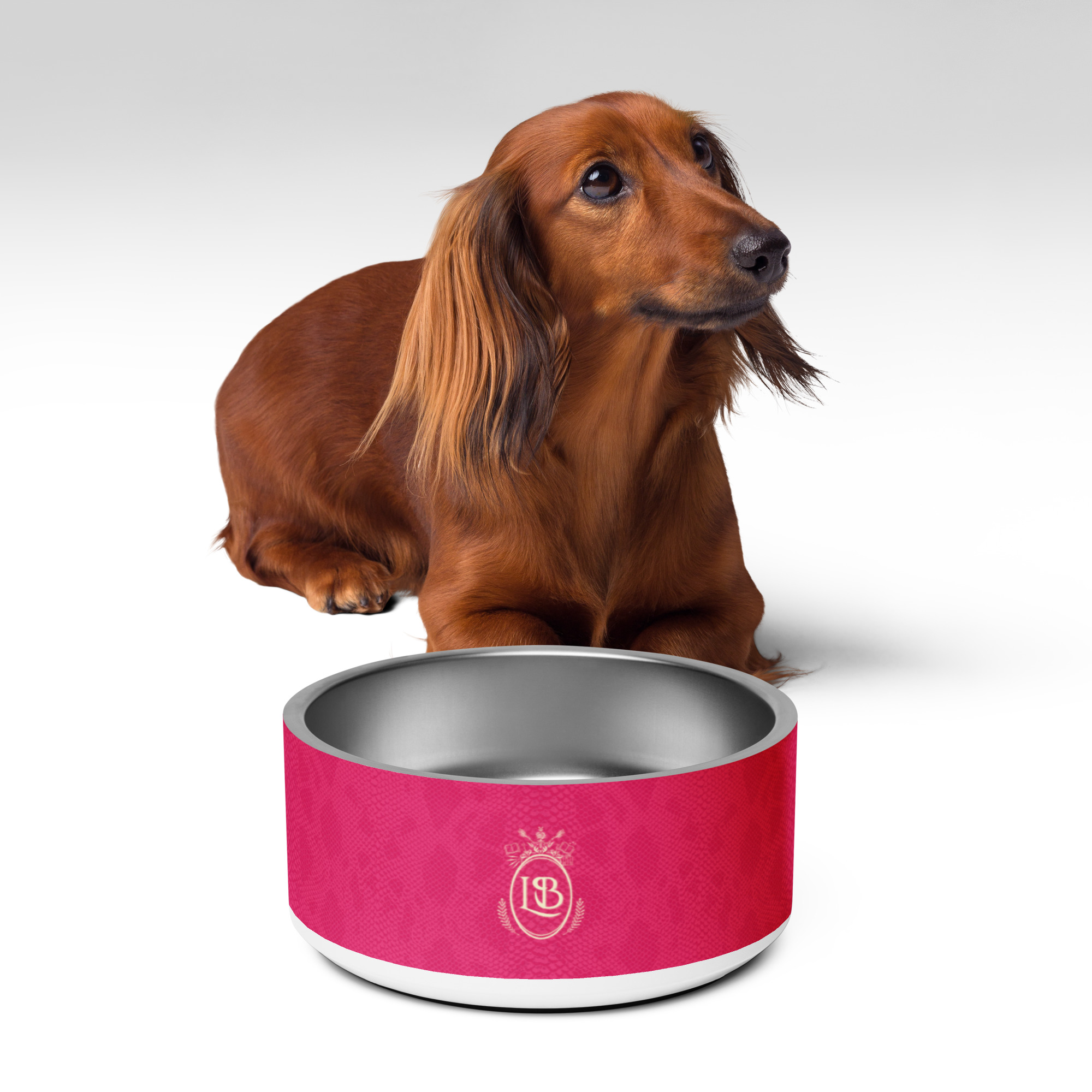 Exotic Crest Pet Bowl in Fuchsia - Image 4