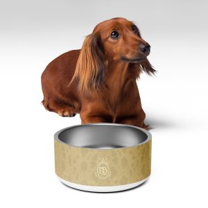 Exotic Crest Pet Bowl in Cashew - Image 4