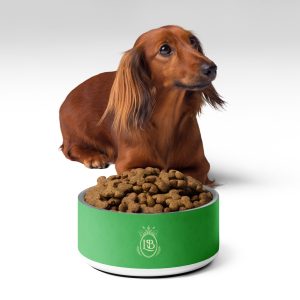 Exotic Crest Pet Bowl in Clover