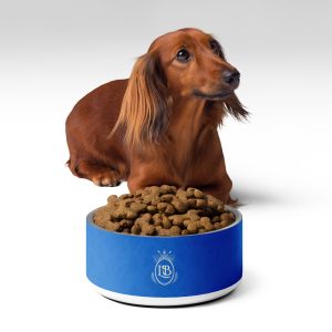 Exotic Crest Pet Bowl in Royal