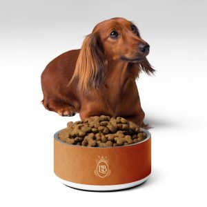 Exotic Crest Pet Bowl in Walnut