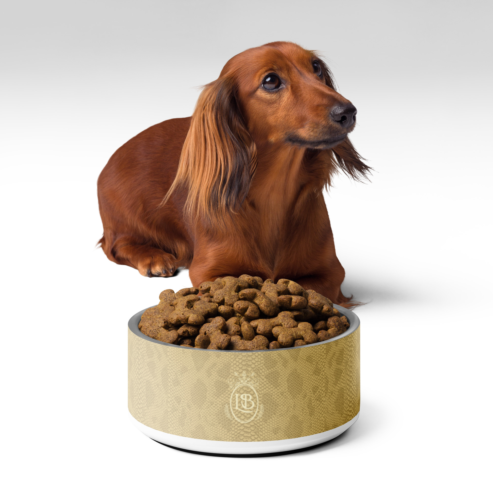 Exotic Crest Pet Bowl in Cashew - Image 1